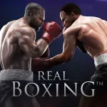 Real Boxingcover