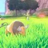 Pokémon Shield