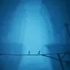 Little Nightmares II
