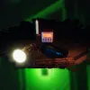 Phasmophobia