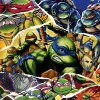 Teenage Mutant Ninja Turtles: The Cowabunga Collection