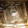 FragPunk