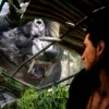 Final Fantasy XV